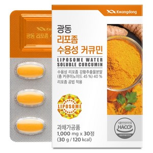 광동제약 리포좀 수용성 커큐민 30g, 30정, 1개