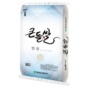 대야농협 2026년산 햅쌀 큰들쌀 백미 상등급, 10kg, 1개