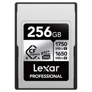 렉사 CFexpress 4.0 Type A Silver VPG200 8K 소니 카메라 메모리카드, 256GB, 1개