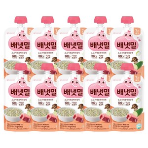 배냇밀 배냇밀 중기 이유식, 10개, 100g, 혼합맛(소고기/애호박/버섯)