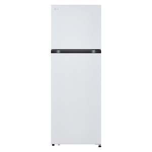 LG전자 2도어 241L 일반냉장고 방문설치, B245W22