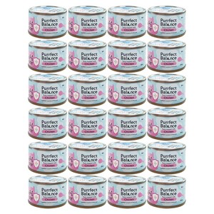 캣츠테이스트 3개월 이상 고양이 퍼펙트 밸런스 주식캔, 닭+참치, 85g, 24개