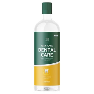 살림백서 하루세번 덴탈케어 구강 청결제, 1개, 1L