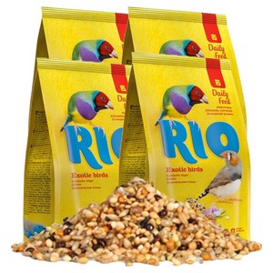 RIO 데일리 핀치 새모이 21102, 1kg, 4개
