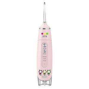 패리뷰리 ZTS 휴대용 무선 구강세정기, 핑크, ZTS-H200