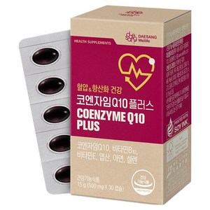 대상웰라이프 코엔자임 Q10 플러스 영양제 15g, 30정, 1개