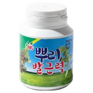 앙플랜트 뿌리발근력 루팅파우더, 75g, 1개 골드박스 특가