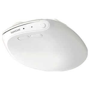 로이체 휴대용 인체공학 저소음 블루투스 미니 버티컬 무선 마우스 RX-650V, 화이트, RX-650V WH
