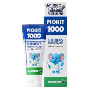 픽킷 1000 고불소 어린이치약 블루베리향, 60g, 1개