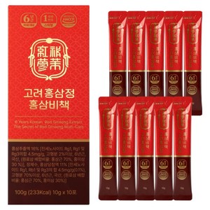고려홍삼정 홍삼비책 10p, 1개, 100g