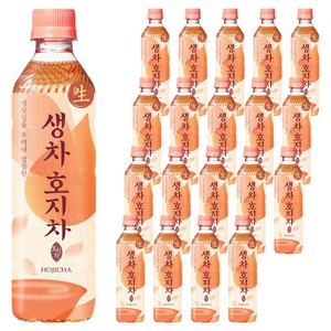 웅진 생차 호지차, 500ml, 20개 골드박스 특가