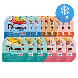 듀먼 전연령 강아지 5종 오리지널 자연 화식사료 50g x 15개입 (냉동), 오리+연어+소고기+명태+돼지+채소, 1세트