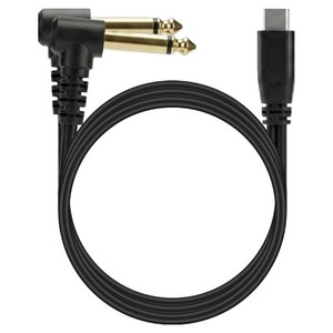 컴스 USB-C to 듀얼 ᄀ자 꺾임 모노 TS 6.35mm Y형 오디오 변환 케이블 1m, 1개, IH918
