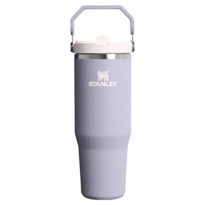 스탠리 아이스플로우 플립 스트로 2.0 텀블러, 퍼플 더스트, 887ml, 1개
