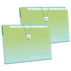델리리움 예쁜 색감 대용량 아코디언 서류 A4 파일 케이스 8단 32 x 25 cm, 그라데이션 그린, 2개