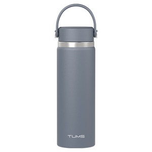 텀스 핸들 스윙 텀블러, 문라이트, 600ml, 1개