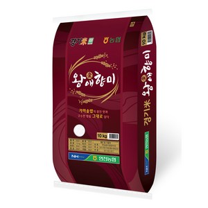 농협 연천농협 왕애향미 여리향 백미 상등급, 10kg, 1개 골드박스 특가