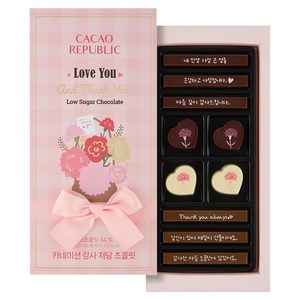 카카오리퍼블릭 카네이션 감사 저당 초콜릿 100g, 1개