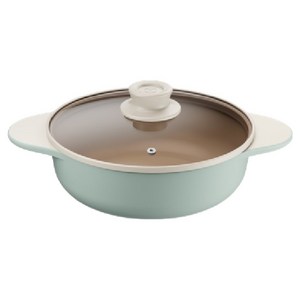 테팔 인덕션 세라믹 주물 아이콘 전골냄비, 24cm, 유칼립투스, 1개