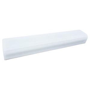 블링라이트 GC LED 유백 LED 욕실등 25W, 화이트 + 주광색