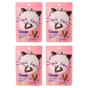 벳플 고양이 브이트릿 간식, 70g, 4개, 연어맛