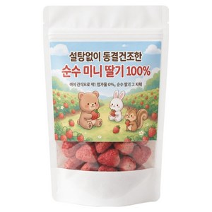 설탕없이 동결건조한 미니 딸기 100%, 1개, 50g