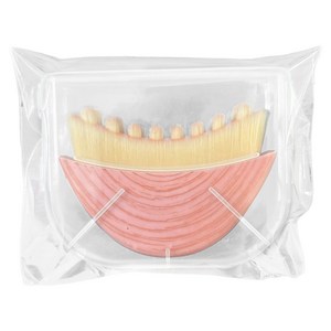 모아린 림프 케어 페이스 브러쉬 괄사 수납 케이스, 1개, 핑크