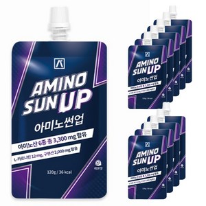 풍림무약 아미노썬업 10p, 120g, 10개