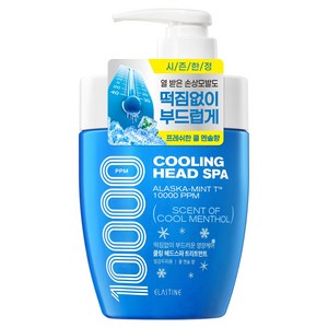 엘라스틴 쿨링 헤드 스파 10000 단백질 클리닉 트리트먼트 쿨멘솔향, 1개, 700ml