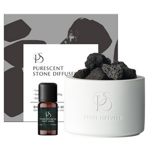퓨레센트 스톤 디퓨저, 1개, 17ml, 포레스트가든