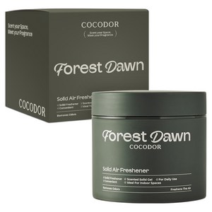 코코도르 고체탈취제 숲속새벽공기, 1개, 300g