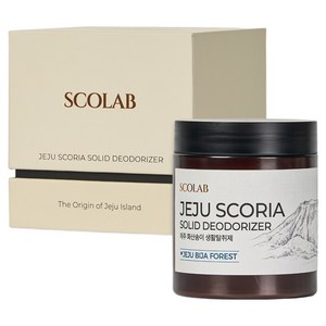 스코랩 제주 화산송이 생활탈취제 비자숲 본품, 250g, 1개 골드박스 특가