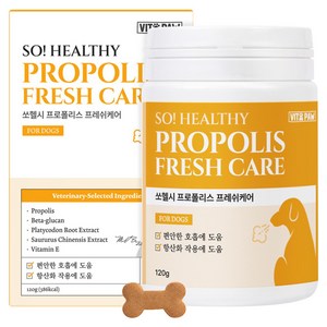 비타파우 강아지 프로폴리스 항산화 구강 영양제, 1개, 호흡기/기관지, 120g