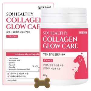 비타파우 강아지 모질 알러지 각질 건조 보습 콜라겐, 1개, 피부/피모, 120g