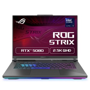 에이수스 2026 ROG 스트릭스 G16 코어Ultra9 인텔 14세대 지포스 RTX 5080, Eclipse Gray, G615LW-TS275, 1TB, 32GB, Free DOS