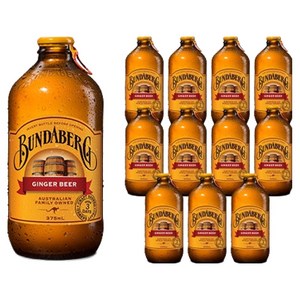 분다버그 진저비어 탄산음료, 375ml, 12개