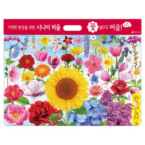 시니어 꽃보다 퍼즐, 시니어인지능력개발원, 효리원