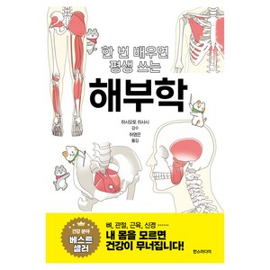 한 번 배우면 평생 쓰는 해부학, 한스미디어, 하시모토 히사시