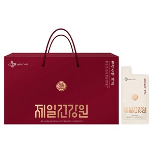 CJ웰케어 제일건강원 홍삼진액 제로 24p, 1개, 1.2L