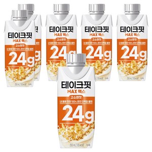 테이크핏 맥스 내 몸에 핏한 단백질 플랜 고소한맛, 250ml, 6개