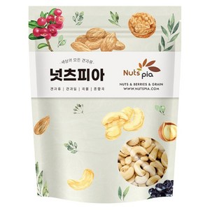 넛츠피아 생 캐슈넛, 200g, 1개