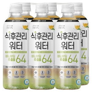 티에프티 빙그레 식후관리 워터, 500ml, 6개 골드박스 특가