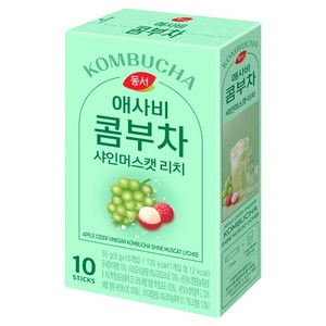 동서 애사비 콤부차 샤인머스캣 리치, 5g, 10개입, 1개