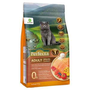 베타그로 어덜트 고양이 신선한 진짜연어 눈물도움 사료, 1kg, 1개, 연어