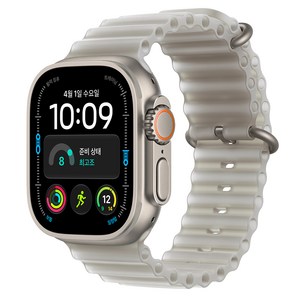 Apple 2026 애플워치 Ultra 4, 내추럴, 49mm, GPS+Cellular, 트랜스루센트 그레이 오션 밴드, Free