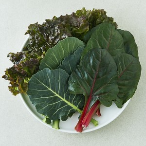 미니 모둠쌈, 1개, 100g