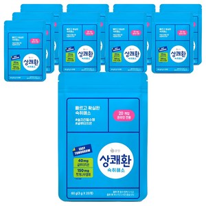 상쾌환 숙취해소제, 60g, 10개