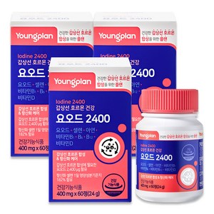 영플랜 요오드 2400 갑상선 호르몬 건강, 60정, 3개