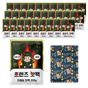 인라이프 국내 제조 포켓형 THE 큰 솔저 프렌즈 핫팩 200g, 40개