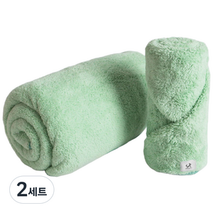 딩동펫 반려동물 부드러운 펫타올 2종 세트, 민트, 2세트